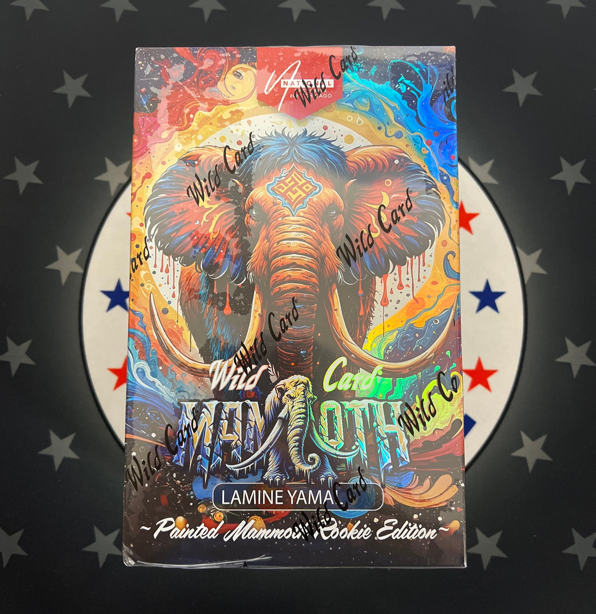 2024 Wild Card Lamine Yamal Painted Mammoth Box - NSCC Exclusive