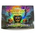 2025 Wild Card Haunted Hits Monster Hunt Multi Sport Breakers Brick 10-Brick Case